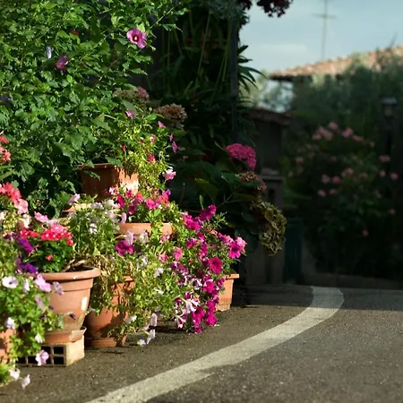 Agriturismo La Rogaia Feriegård *
