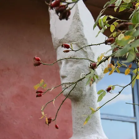 Feriegård Agriturismo La Rogaia *