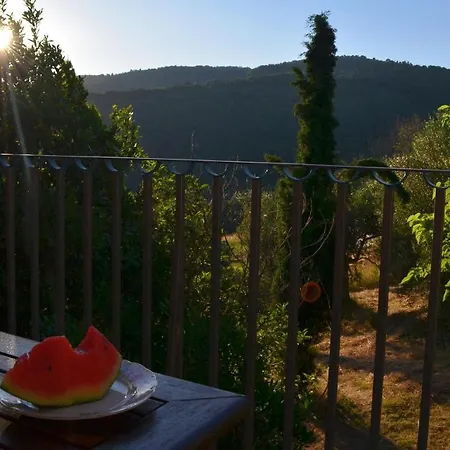 Agriturismo La Rogaia Feriegård