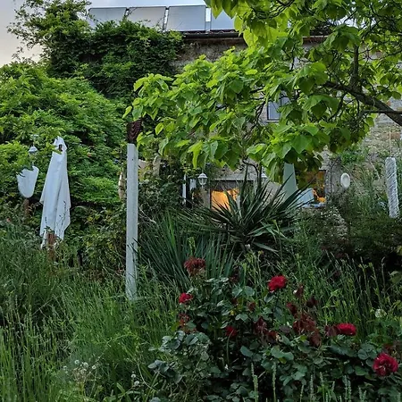 Feriegård Agriturismo La Rogaia *